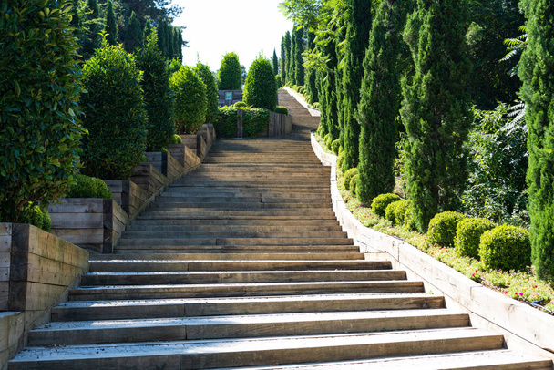 schody w parku - Zdjęcie, obraz