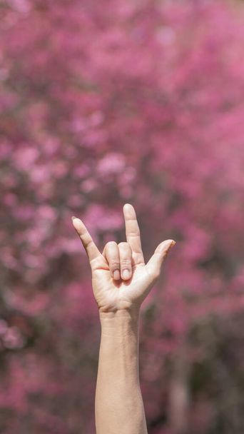 A young man raises his hands above his head on a blurry background of pink cherry blossoms and makes a hand sign sign meaning I love you. Love concept and Copy Space for text. - Fotó, kép