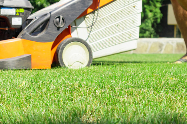 Człowiek koszący trawnik kosiarką latem. Sezon wiosenny słoneczny koszenie trawnika w ogrodzie - Zdjęcie, obraz