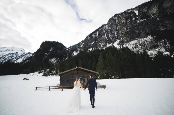 The couple, the bride and groom holding hands in the mountains. - Фото, зображення