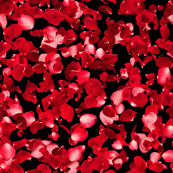 Безшовна текстура пелюсток троянд - візерунок на чорному тлі
  - Фото, зображення
