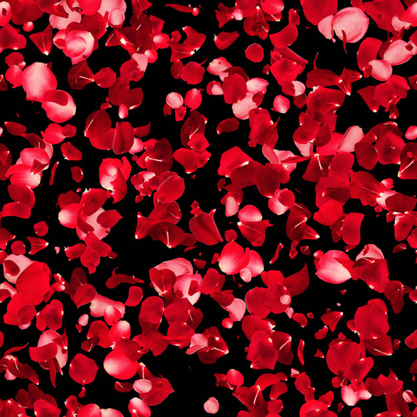 Безшовна текстура пелюсток троянд - візерунок на чорному тлі
  - Фото, зображення
