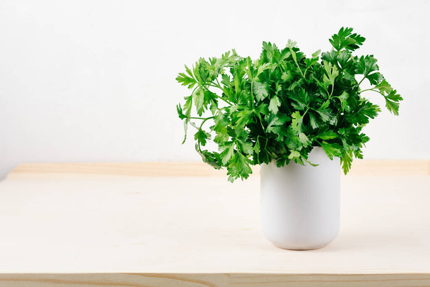 A bunch of green fresh parsley in a ceramic cup. - Photo, image