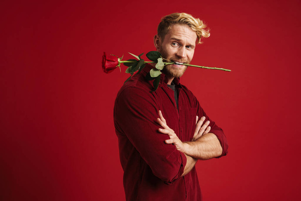 White man looking aside while holding rose in his mouth isolated over red wall - Фото, изображение