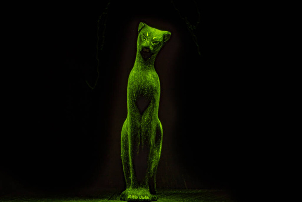 Silhouet van een sierlijke kat geschetst met licht - Foto, afbeelding