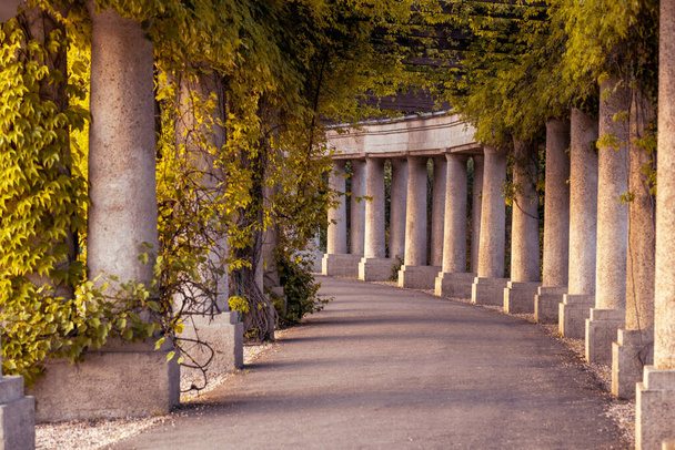 A beautiful stone arch in the botanical garden and an alley passing through it - Fotoğraf, Görsel