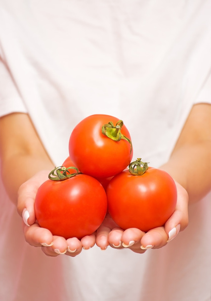 Ripe tomatoes in the hands of a girl - Foto, Bild