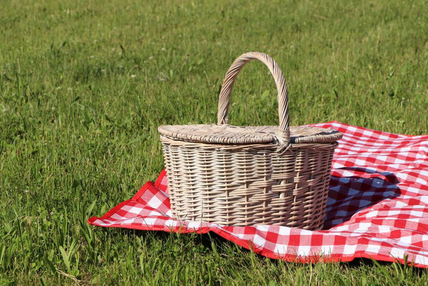Picnic basket with checkered tablecloth on green grass outdoors, space for text - Photo, image