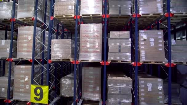 Lots of storage shelves with boxes. Creative. Storage room with lot of sealed goods on shelves. Boxes in large warehouse with row numbers.  - Footage, Video