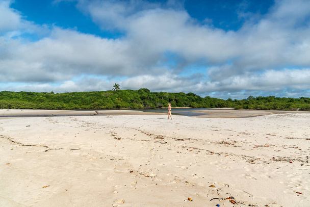Молода красива жінка йде по береговому піску до дерев і мангрових лісів. Praia do Guaibim, узбережжя Баїя (Бразилія). - Фото, зображення