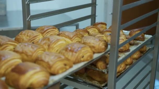 Puff pastry, croissants, puffs. Food industry, confectionery, bakery. Knead, roll out the dough at a large production. High quality 4k footage - Video, Çekim