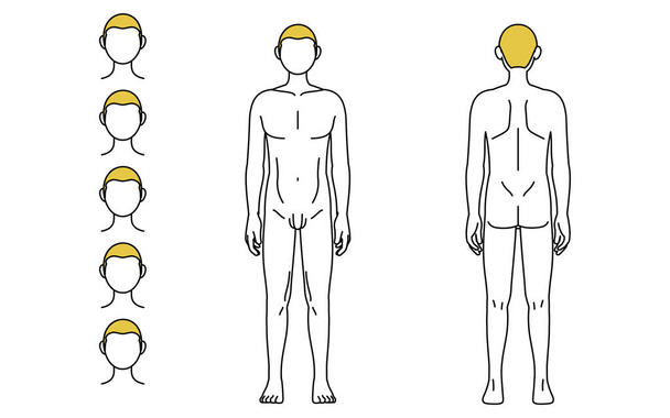 Men's hair removal, full body (front and back) and facial area guide, nude - Vector, imagen