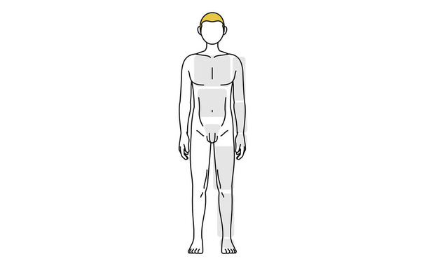Men's Hair Removal, Full Body (Front) Area Guide, Naked Body - Vector, Image