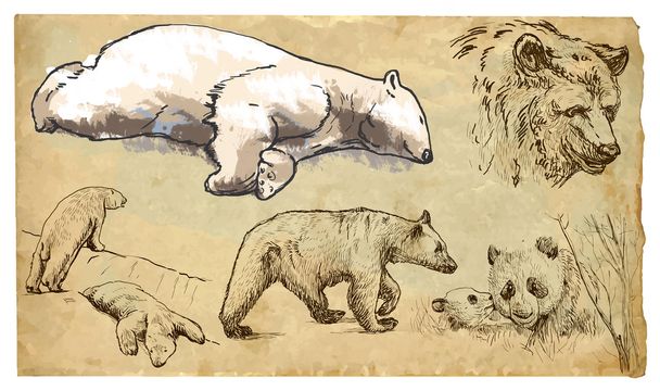 Animals, theme: BEARS - hand drawn vector pack - Вектор,изображение