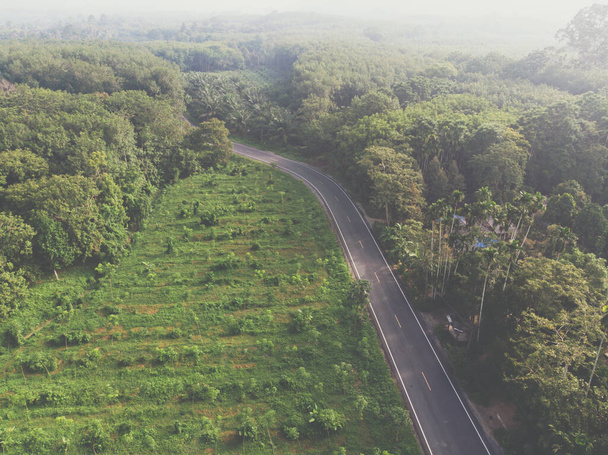 Aeria vista trasporto rurale strada asfaltata nella foresta pluviale tropicale trasporto in natura - Foto, immagini