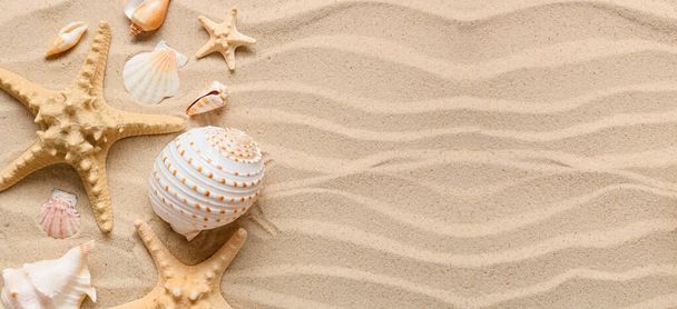 Különböző tengeri kagylók és tengeri csillagok a homokon. Tervezési lobogó - Fotó, kép