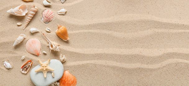 Różne muszle morskie na piasku plażowym. Baner do projektowania - Zdjęcie, obraz