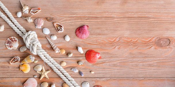 Different sea shells and rope on wooden background with space for text - Fotó, kép