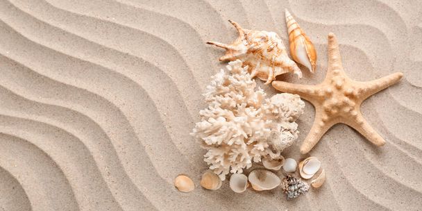 Different sea shells and starfish on beach sand. Banner for design - Фото, изображение