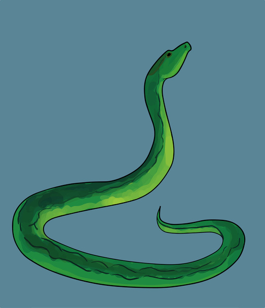 Iluustration van slang op blauwe achtergrond - Vector, afbeelding