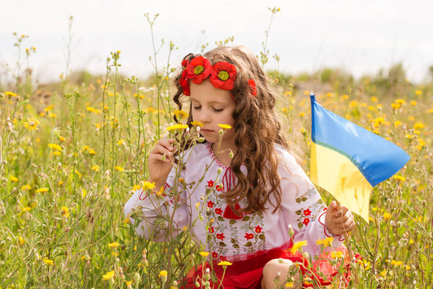 Little girl in Ukrainian folk costume in the field with the Ukrainian flag in her hands - Foto, Bild