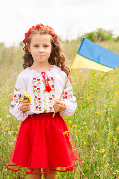 Little girl in Ukrainian folk costume in the field with the Ukrainian flag in her hands - 写真・画像