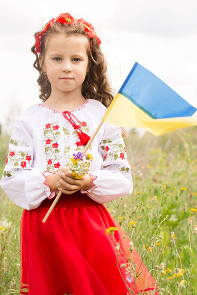 Little girl in Ukrainian folk costume in the field with the Ukrainian flag in her hands - Fotografie, Obrázek