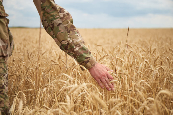 Ukrainian military man in wheat field. Ukrainian wheat fields and war upcoming food crisis. Armed Forces of Ukraine - Photo, Image