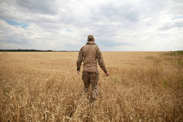 Ukrainian military man in wheat field. Ukrainian wheat fields and war upcoming food crisis. Armed Forces of Ukraine - Fotografie, Obrázek