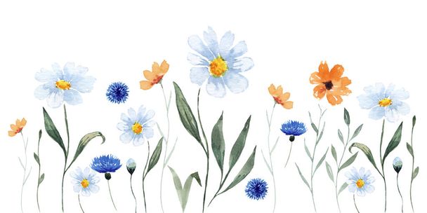 Watercolor floral composition with colorful wildflowers, leaves, plants. Panoramic horizontal isolated illustration. Garden background. - Fotografie, Obrázek