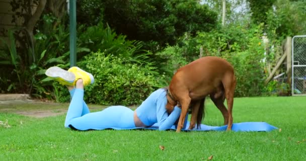 A beautiful woman laughing while her pet is licking her face in a sunny day in the park. beautiful woman hugging her adorable dog at home. Happy woman embracing dog in park. girl and dog hugging - Filmati, video