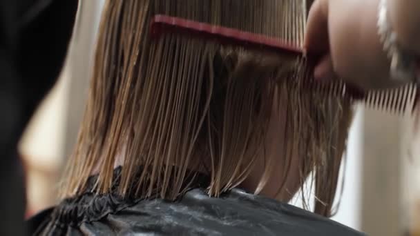 Combing wet hair, slow motion, close up. Unrecognizable woman in beauty salon, hair care procedure - Felvétel, videó