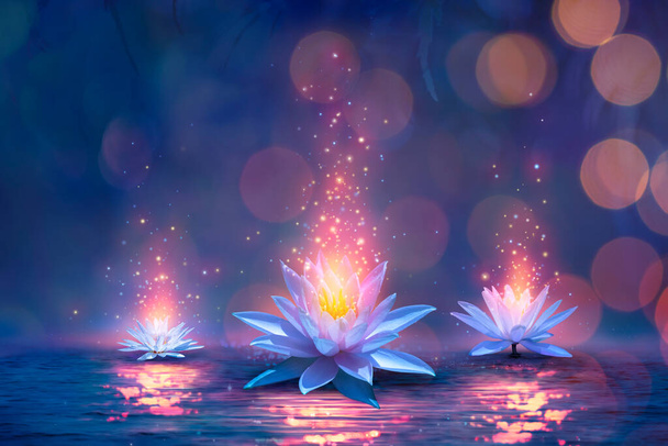 Magic Lotus Flower On Water - Miracle Concept - Waterlilies In Defocused Background - 写真・画像
