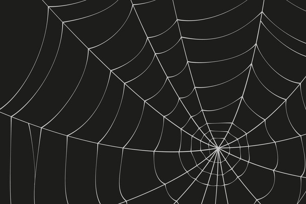 Eng spinnenweb. Witte spinnenweb silhouet geïsoleerd op zwarte achtergrond. Doodle spinnenwebbanner. Met de hand getekend spinnenweb voor Halloween feest. Vectorillustratie. - Vector, afbeelding