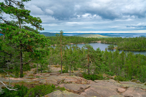 View of Baltic sea and gulf of Bothnia from the top of the rock in Skuleskogen national park, Sweden. Hiking along the High Coast trail, Hoha Kustenleden - Valokuva, kuva