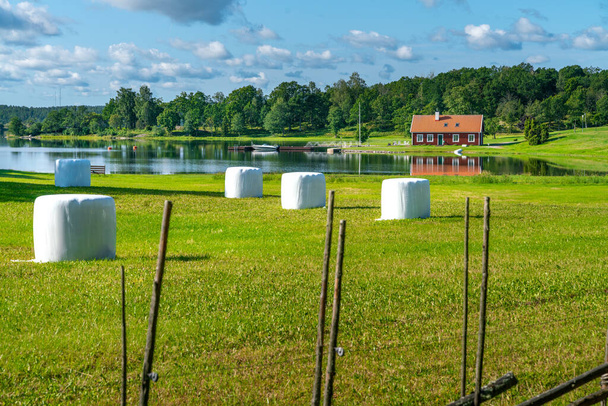 Typical red wooden houses in countryside by the sea in nature of southern Sweden on a beautiful sunny summer day. White heystacks in front. Relaxing rural landscape - Photo, image