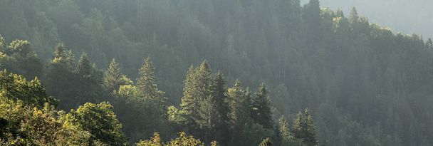 Alppimaisema kesällä - Valokuva, kuva