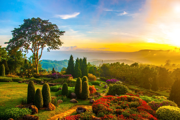 Beautiful garden of colorful flowers on hill with sunrise in the - Photo, Image