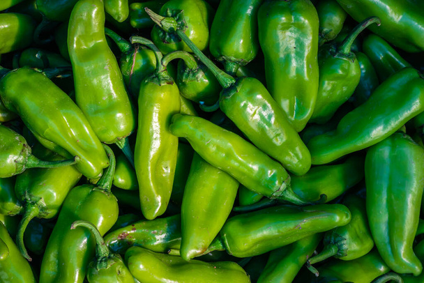 fresh organic green chilli from farm close up from different angle - Фото, изображение