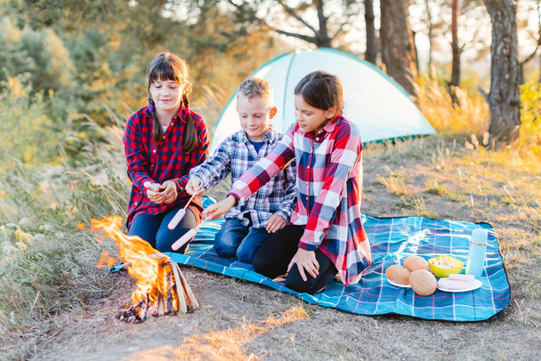 A cheerful company of two girls and a boy on a picnic in the middle of the forest. Children fry sausages on the fire, eat buns and have fun in nature - Φωτογραφία, εικόνα
