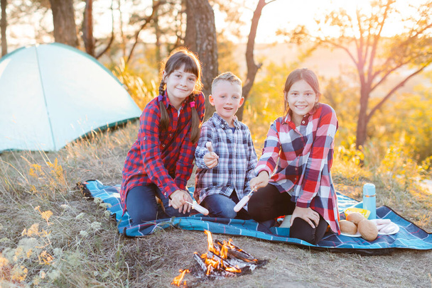 Весела компанія з двох дівчат і хлопчика на пікніку посеред лісу. Діти смажать сосиски на вогні, їдять булочки і розважаються на природі
 - Фото, зображення