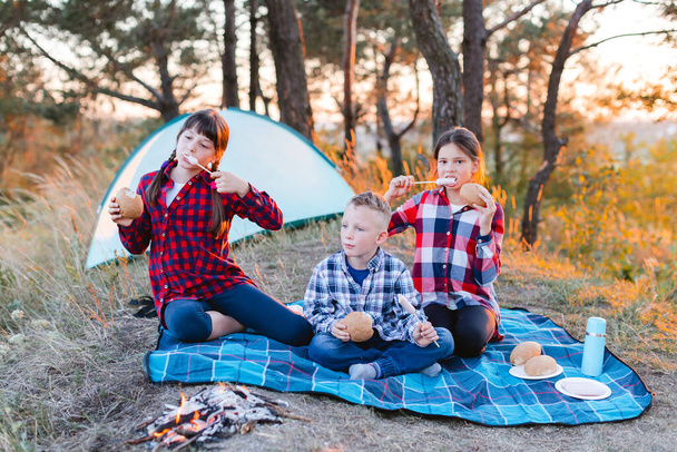 Een vrolijk gezelschap van twee meisjes en een jongen op een picknick midden in het bos. Kinderen bakken worstjes op het vuur, eten broodjes en hebben plezier in de natuur - Foto, afbeelding