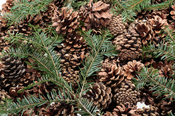 Contexto dos cones de pinheiro naturais secos
 - Foto, Imagem