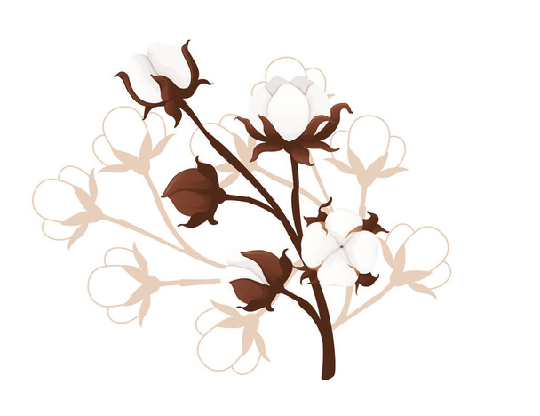 Big cotton flower branch vector illustration isolated on white background. - Vetor, Imagem