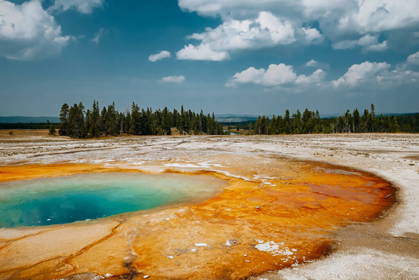 The Grand Prismatic Spring surrounded by greenery in Yellowstone National Park, Wyoming - Fotografie, Obrázek