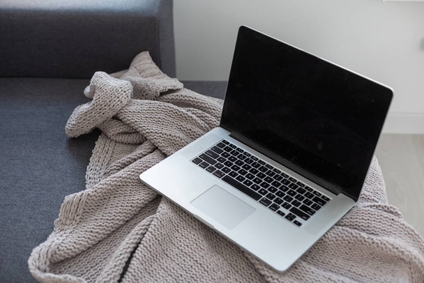 gray sofa with blanket and laptop. - Foto, Imagen
