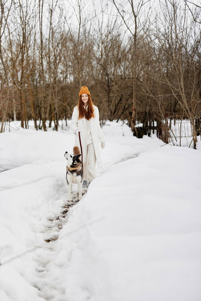 young woman in the snow playing with a dog husky fun friendship winter holidays. High quality photo - Photo, Image