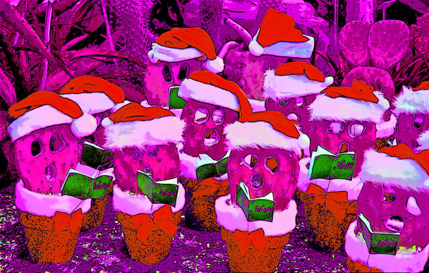 Kaktusz téli kalapban. Karácsonyi dekorációk, kaktusz koszorúkkal jel illusztráció pop-art háttér ikon színes foltok - Fotó, kép