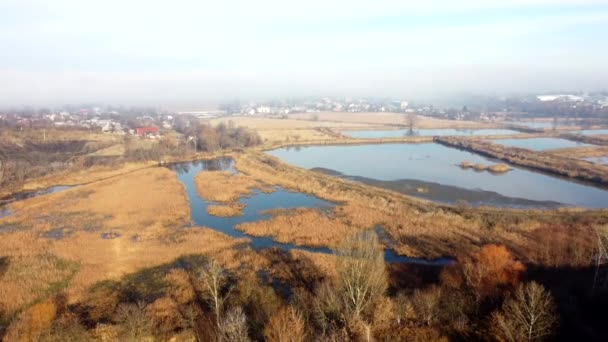 Aerial drone view flight over artificially created lakes for breeding fish in city on sunny autumn day. Industrial fish farming, fisheries. Swamps and lake overgrown with dry reeds. Natural background - Materiał filmowy, wideo