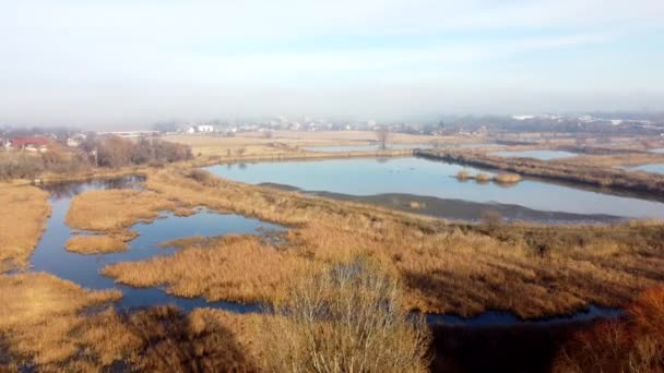 Aerial drone view flight over artificially created lakes for breeding fish in city on sunny autumn day. Industrial fish farming, fisheries. Swamps and lake overgrown with dry reeds. Natural background - Filmagem, Vídeo